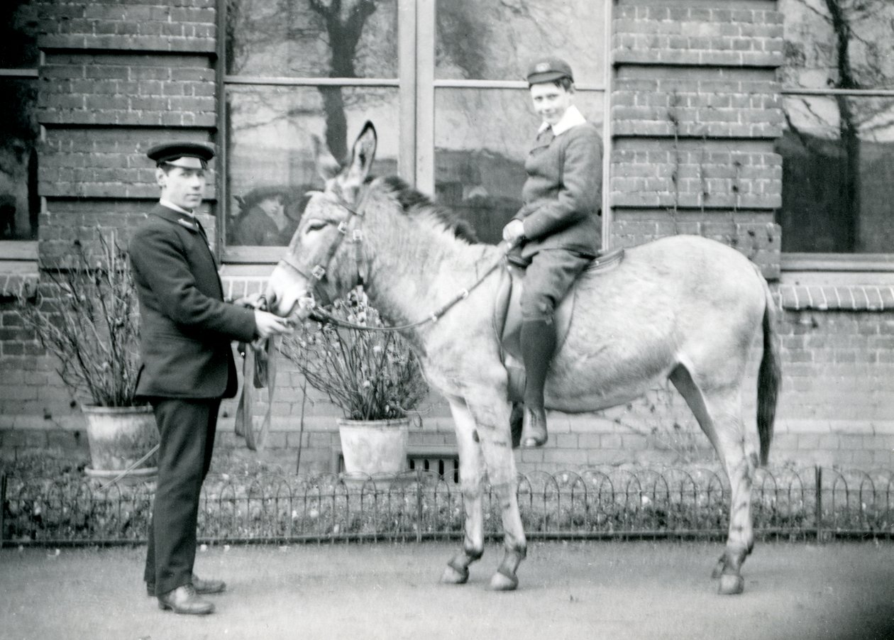 Um goleiro leva um asno, que está sendo montado por um menino, o zoológico de Londres, em junho de 1913 de Frederick William Bond