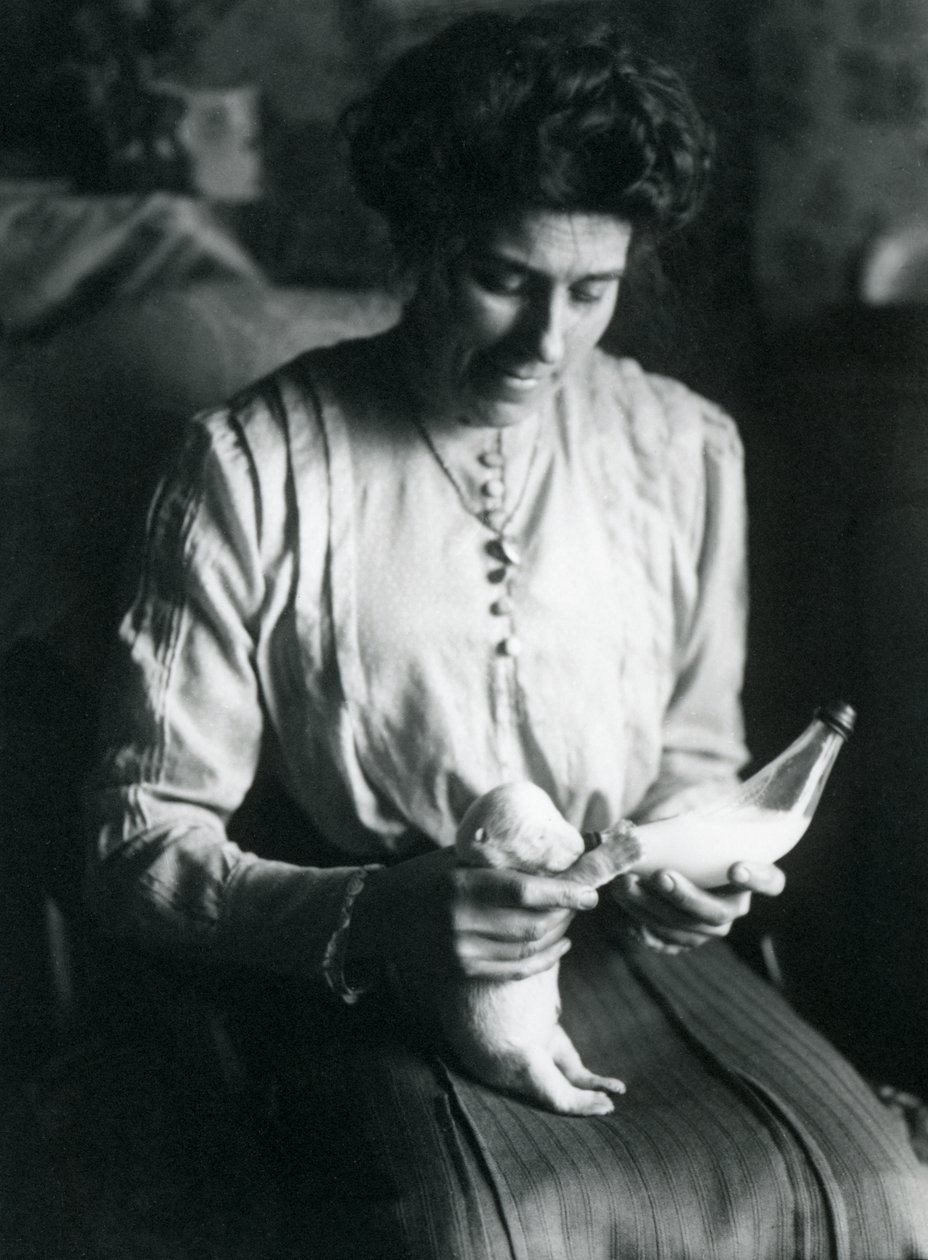 A esposa de um tratador mamadeira de um recém-nascido filhote de urso polar, zoológico de Londres, c.1914 de Frederick William Bond
