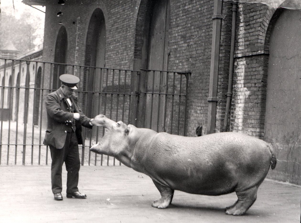 Uma fotografia de Ernie Bowman e Bobbie no Zoológico de Londres, 1923 de Frederick William Bond