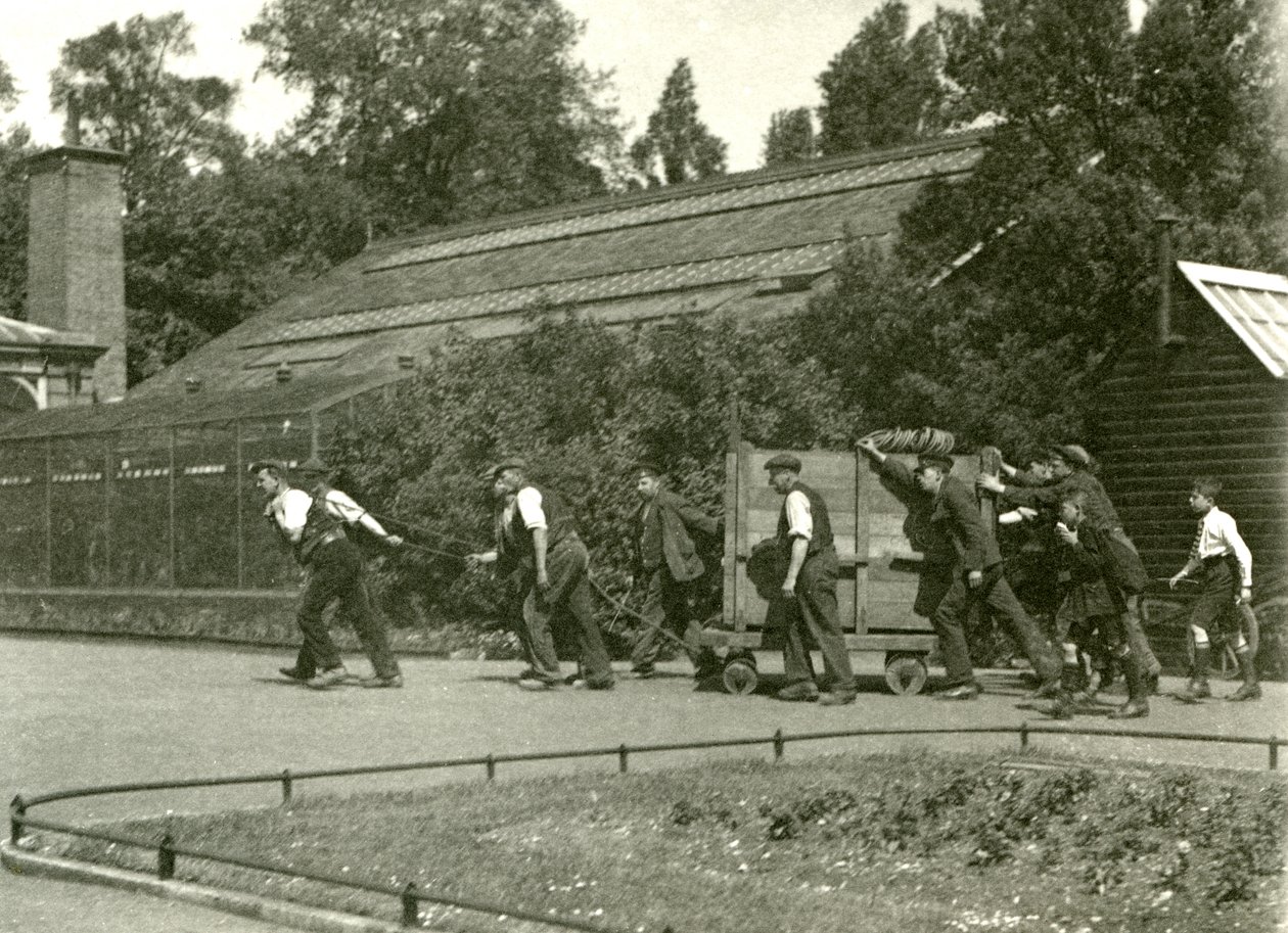 Uma equipe de homens movendo o leopardo em uma caixa de madeira, seguida por dois meninos, o zoológico de Londres, 1922 (foto bw) de Frederick William Bond
