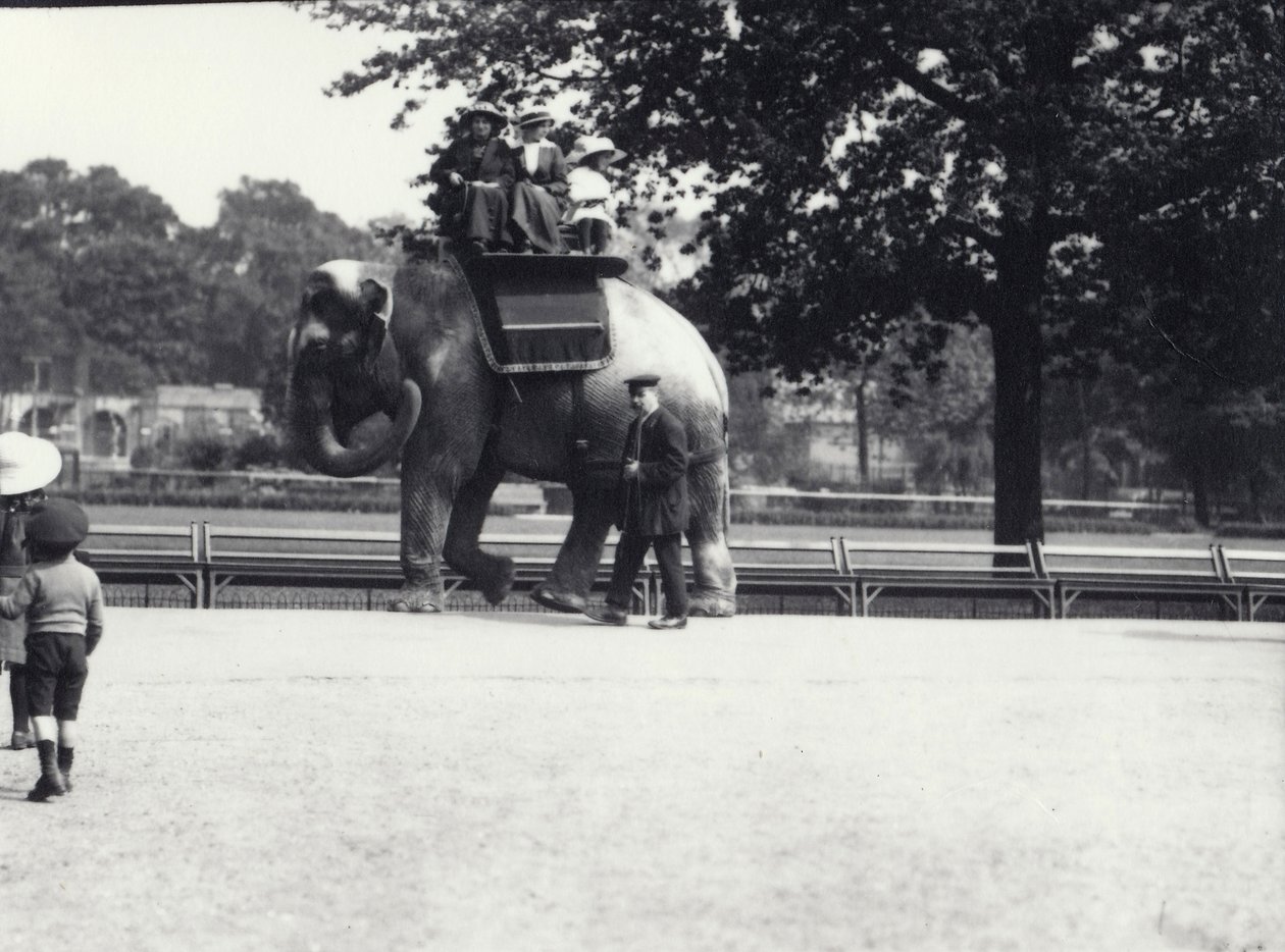 Um elefante asiático sendo montado por duas senhoras e uma jovem, com um guardião ao seu lado, o zoológico de Londres, maio de 1914 de Frederick William Bond