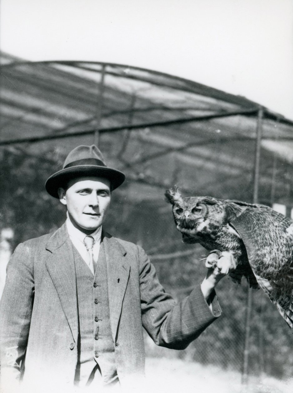 Uma coruja de águia sendo realizada por J. Bailey, supervisor de aves no zoológico de Londres por trinta anos. Junho de 1920 de Frederick William Bond