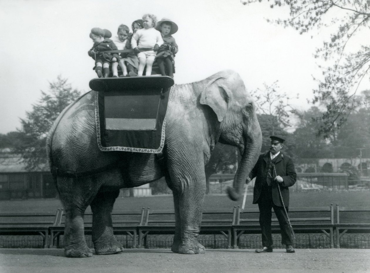 Um elefante indiano, com guardião, levando crianças pequenas para um passeio no zoológico de Londres, c.1913 de Frederick William Bond