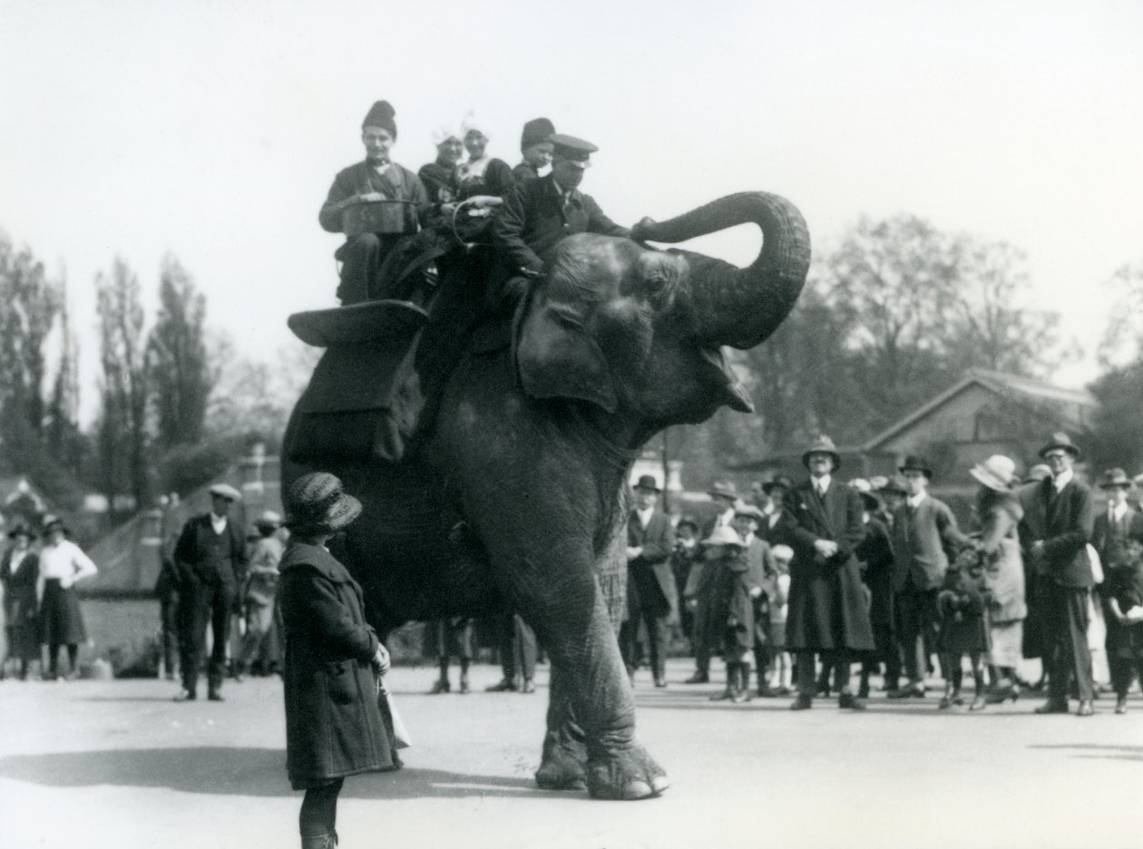 Visitantes armênios passeiam por Indiarani, assistidos por multidões de espectadores, o Zoológico de Londres, em maio de 1923 (bw photo) de Frederick William Bond