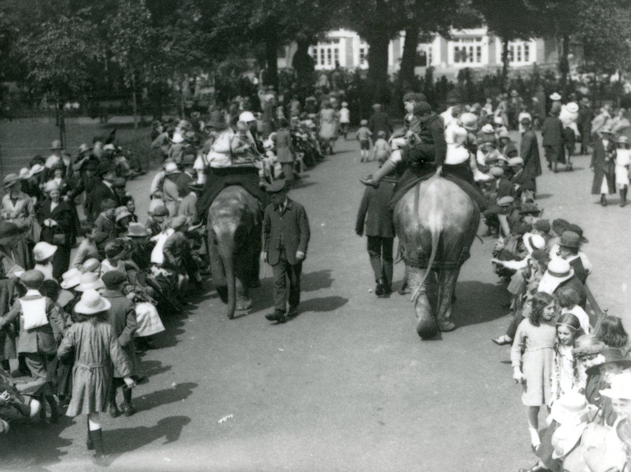 Passeio de elefante asiático com multidões de espectadores no zoológico de Londres, 1922 (foto bw) de Frederick William Bond