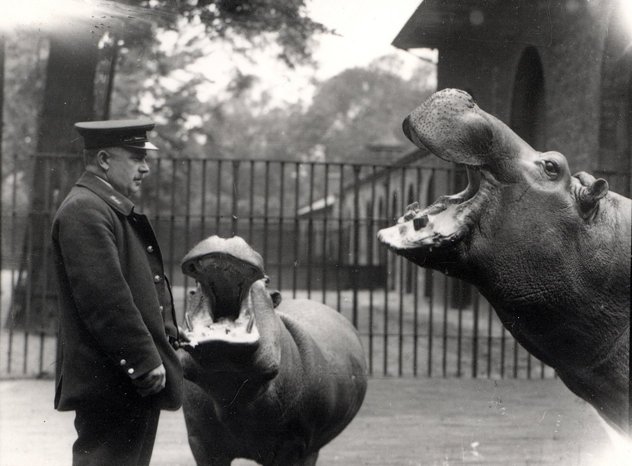 Bobbie e Joan, 1923 de Frederick William Bond