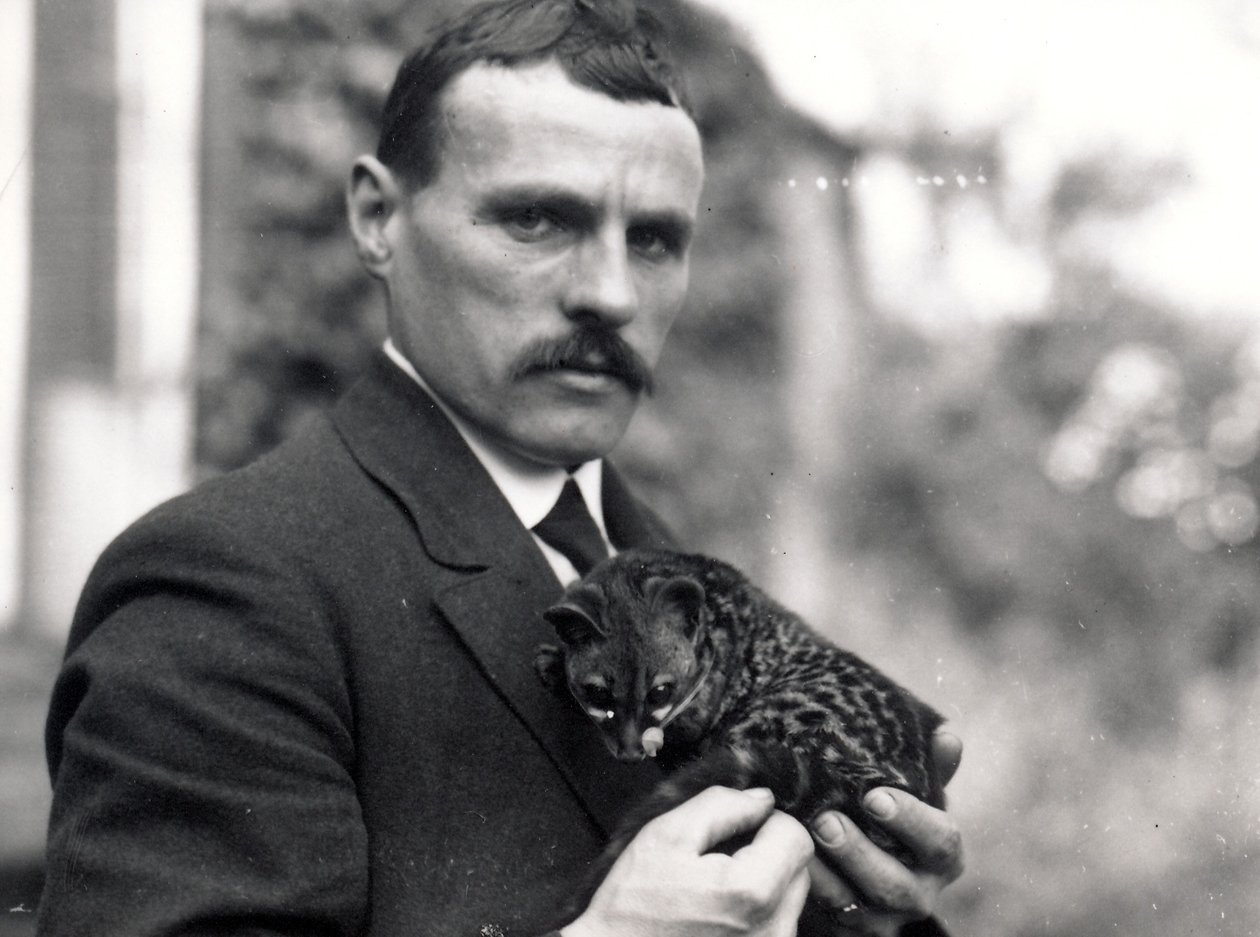Charlie Dixon com genet, 1916 de Frederick William Bond