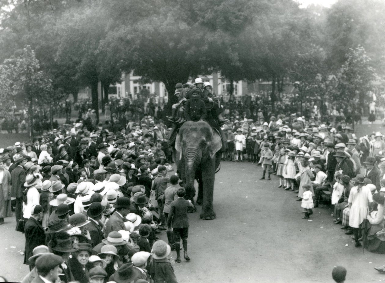Multidões de visitantes assistem a um passeio de elefante no Zoológico de Londres, feriado bancário de agosto de 1922 de Frederick William Bond