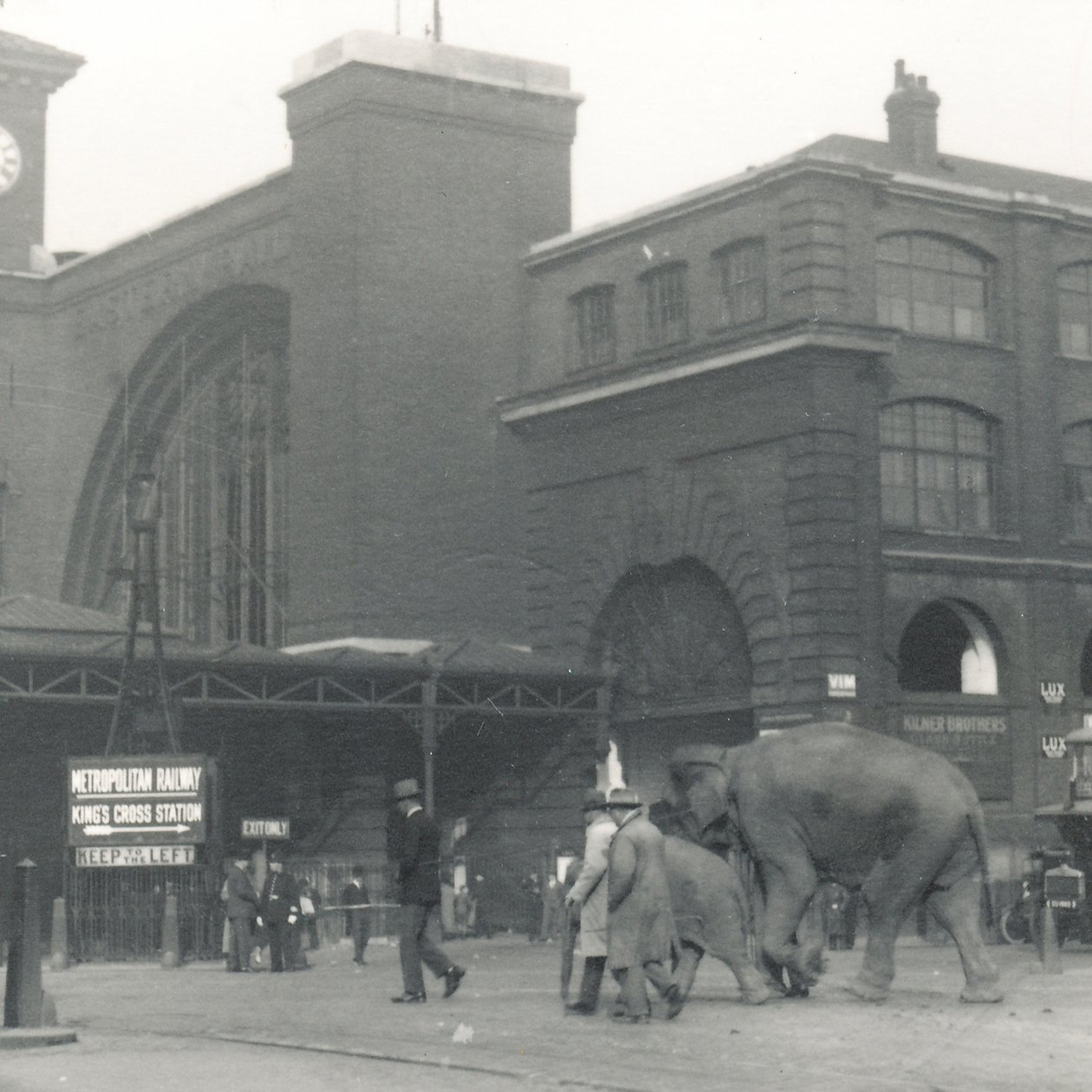 Elefantes que andam das docas que passam a estação de Kings Cross no caminho para ZSL London Zoo, setembro de 1927 de Frederick William Bond