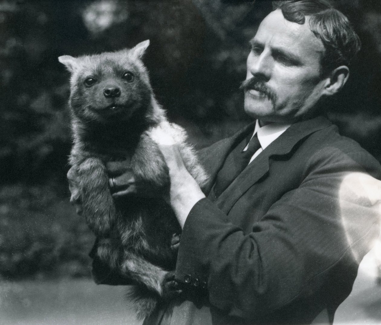 Guardião Charles Dixon segurando um bebê hyaena no zoológico de Londres, 1919 de Frederick William Bond