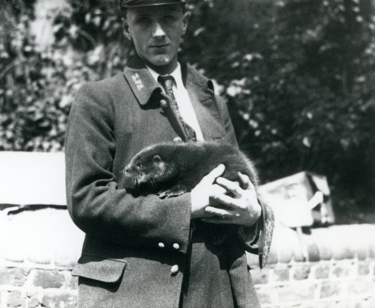 Guardião Leslie Martin Flewin embala um filhote de lontra em seus braços no Zoológico de Londres, em junho de 1922 de Frederick William Bond