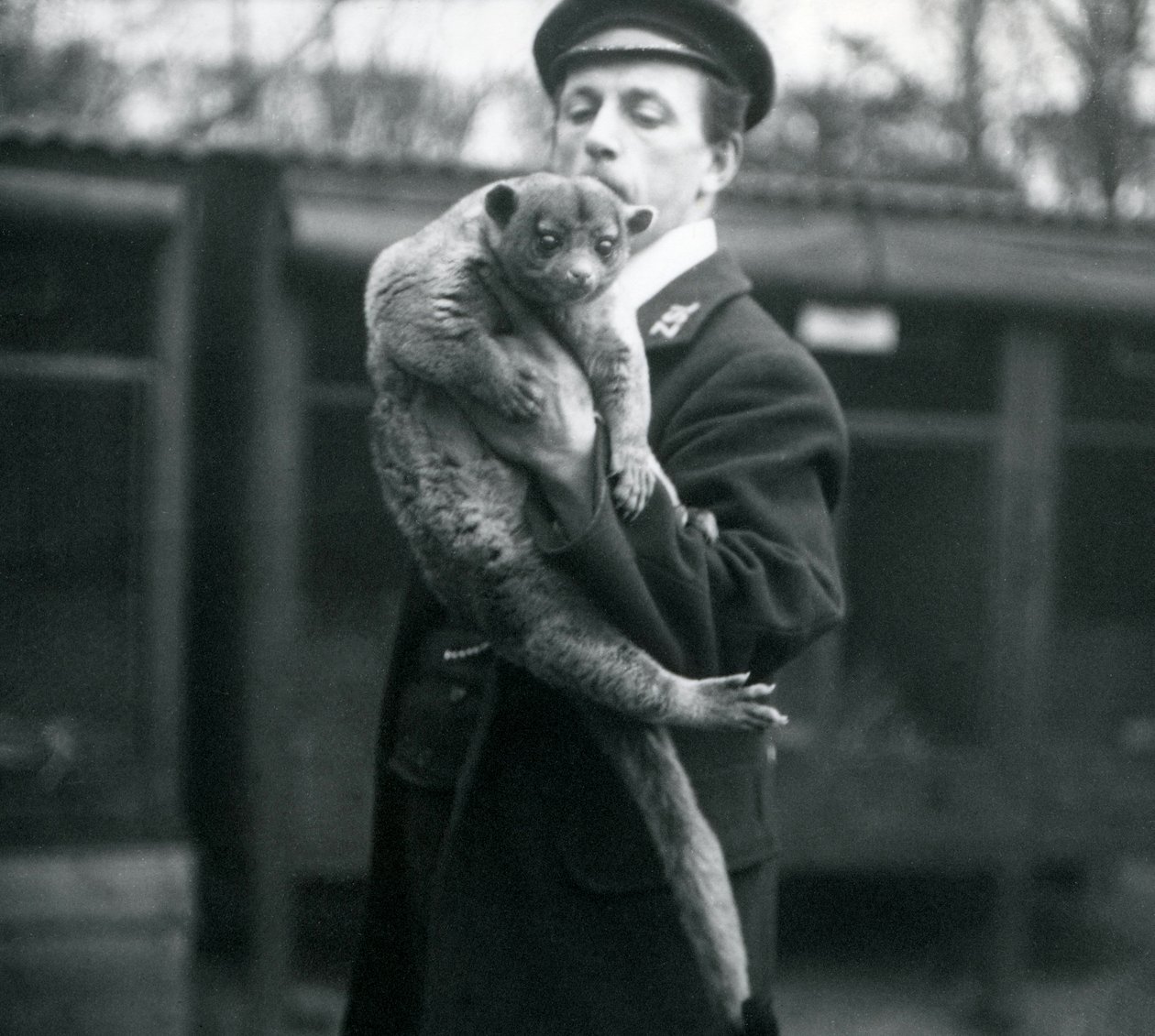 Keeper, Leslie Martin Flewin, segurando um Kinkajou no Zoológico de Londres, em fevereiro de 1913 de Frederick William Bond