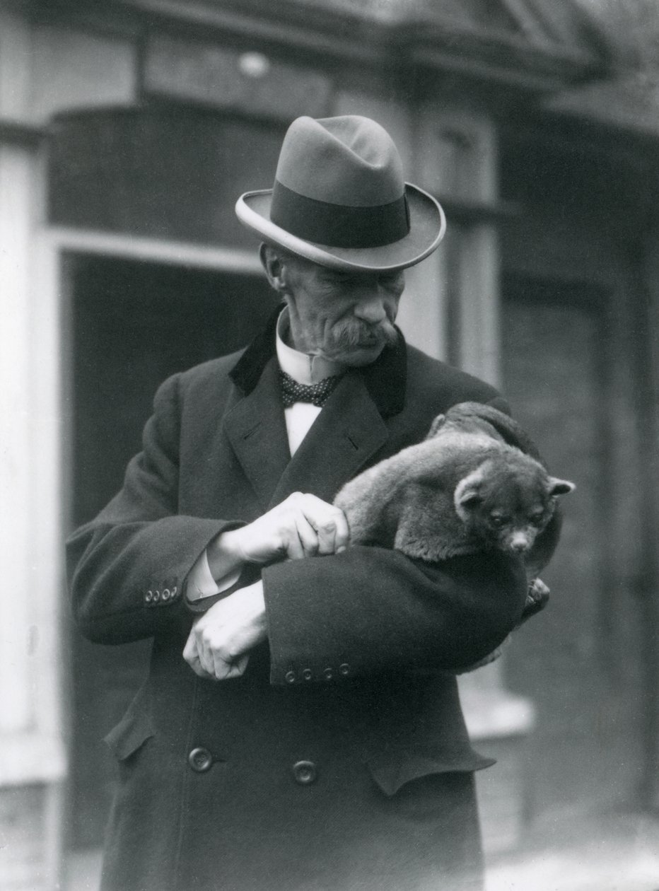 Reginald Innes Pocock FRS detém um kinkajou, London Zoo, 1923 (foto bw) de Frederick William Bond