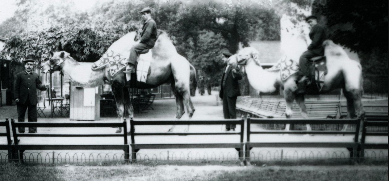 Montando camelos enfeitados para as celebrações do Dia da Paz, 19 de julho de 1919 de Frederick William Bond