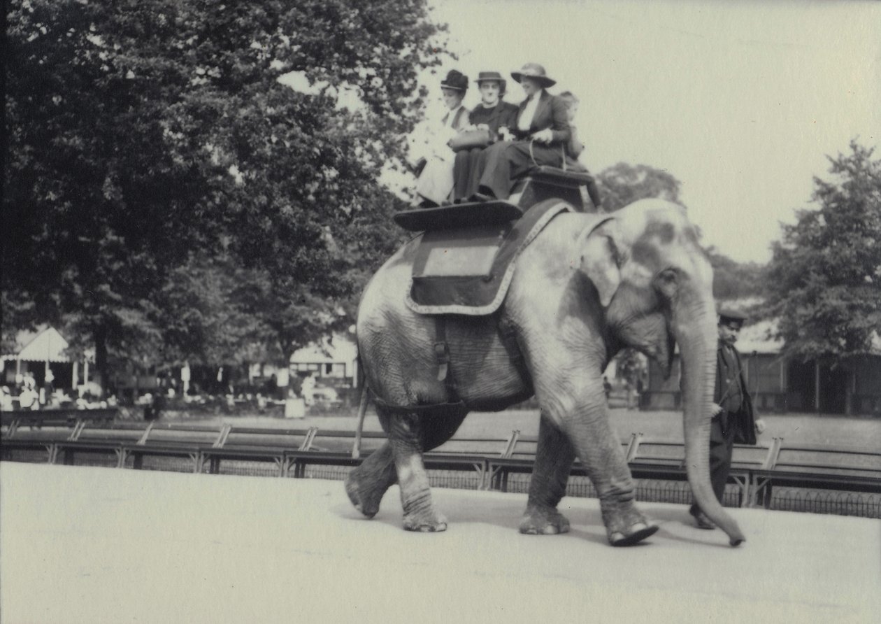 Três garotas dando uma carona em um elefante asiático, liderado por um tratador, no zoológico de Londres, em maio de 1914 de Frederick William Bond