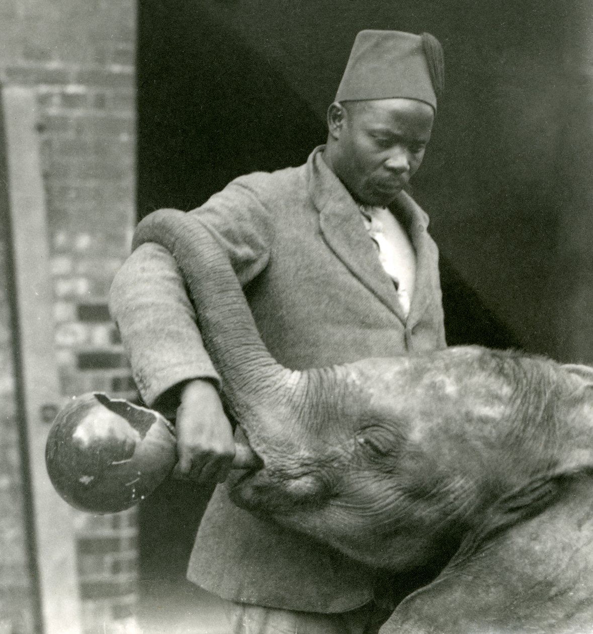 Jovem elefante africano Kiberenge sendo dado uma bebida por Darisha enquanto Syed Ali olha em segundo plano, zoológico de Londres, em setembro de 1923 (bw foto) de Frederick William Bond