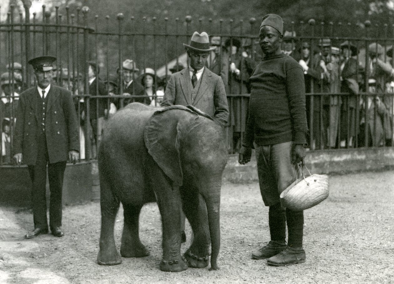 Elefante Africano jovem Kiberenge com treinador Darisha, um goleiro e outro homem, com multidões de visitantes olhando do outro lado dos bares recintos, Zoológico de Londres, em setembro de 1923 (bw foto) de Frederick William Bond