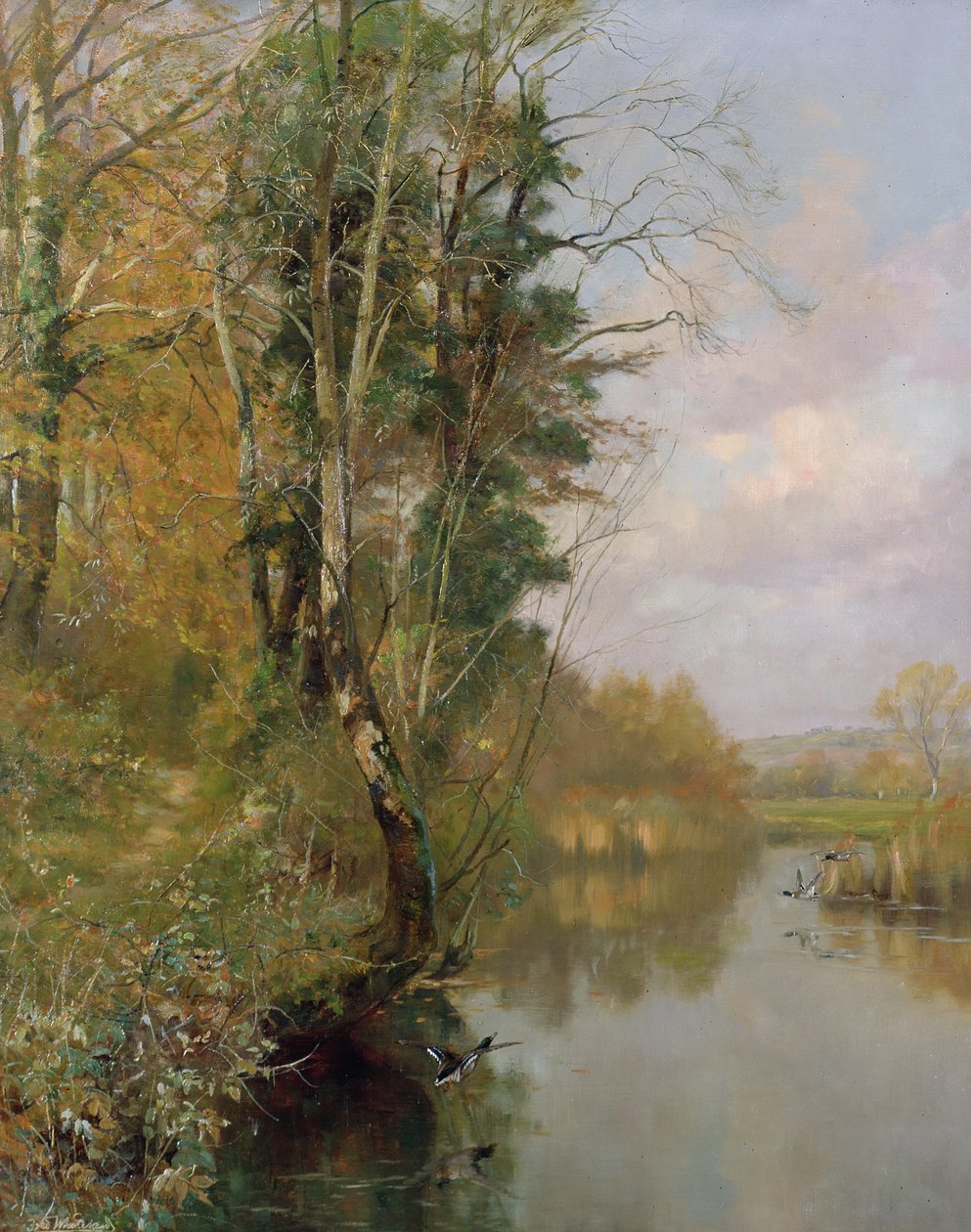 O rio Frome, Morton nr Dorchester, 1901 de Frederick William Newton Whitehead