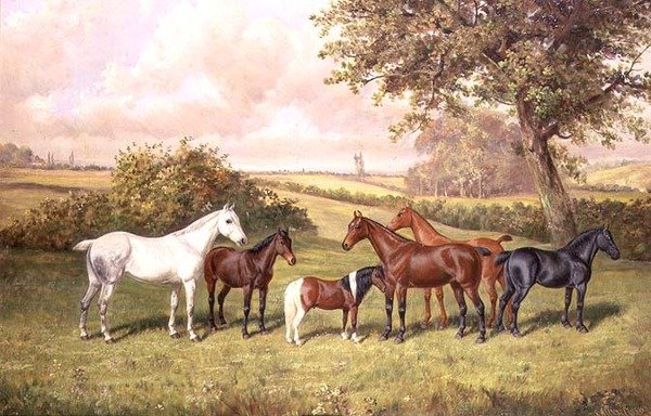 Um Grupo de Póneis de Frederick Albert Clark