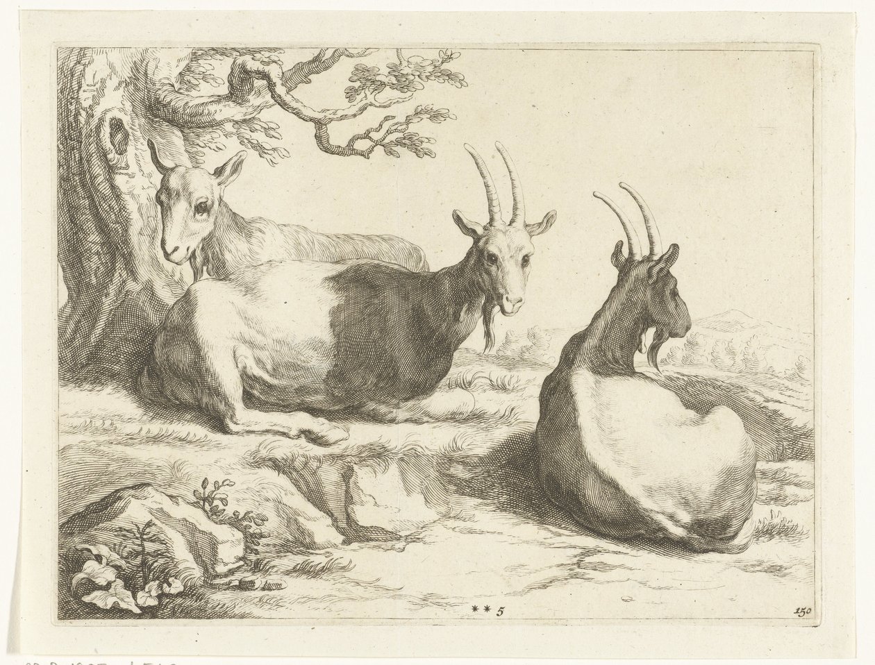 Caprinos
O livro de desenho de Abraham Bloemaert (título da série) de Frederick Bloemaert