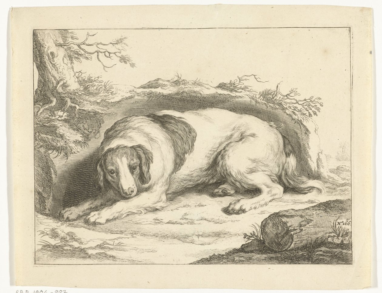 Spaniel
O livro de desenho de Abraham Bloemaert (título da série) de Frederick Bloemaert