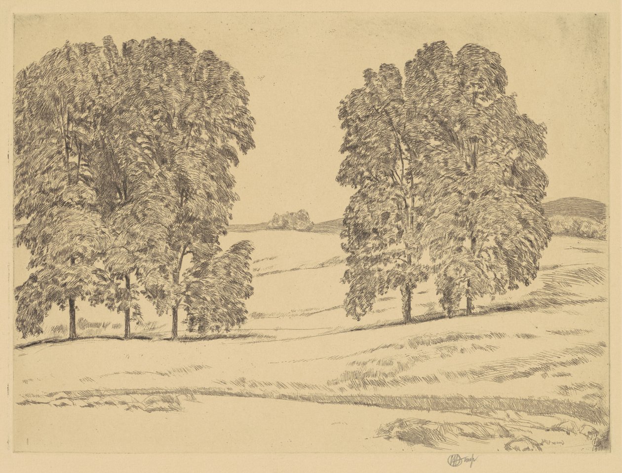Floresta. de Frederick Childe Hassam