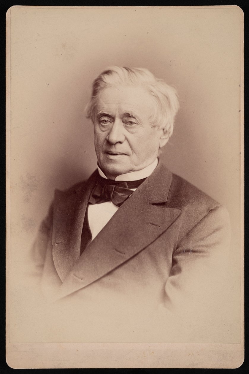Retrato de Joseph Henry 1797-1878, 1876. de Frederick Gutekunst