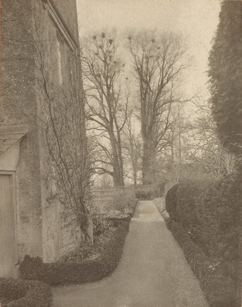 Mansão Kelmscott: No Jardim de Frederick H. Evans