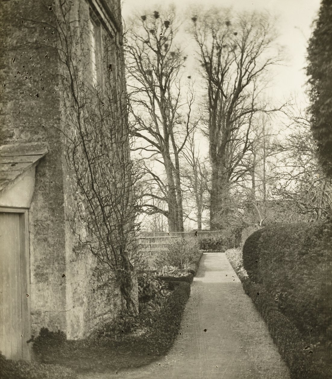 Mansão Kelmscott: No Jardim de Frederick H. Evans