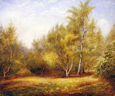Floresta de Epping perto de Buckhurst Hill (aguarela sobre papel) de Frederick Henry Evans