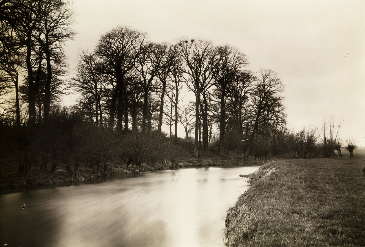 Kelmscott Manot: The Thames Near the Manor, 1896. de Frederick Henry Evans