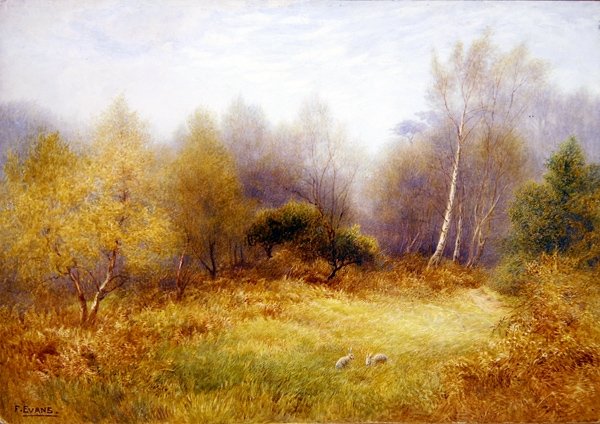 Coelhos em uma limpeza de floresta (aquarela sobre papel) de Frederick Henry Evans