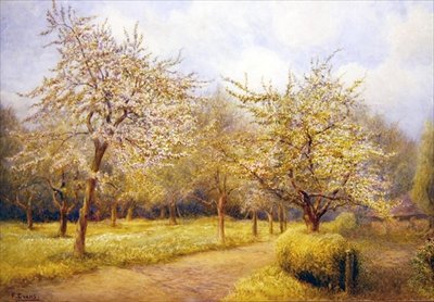 Árvores em Flor (aguarela sobre papel) de Frederick Henry Evans