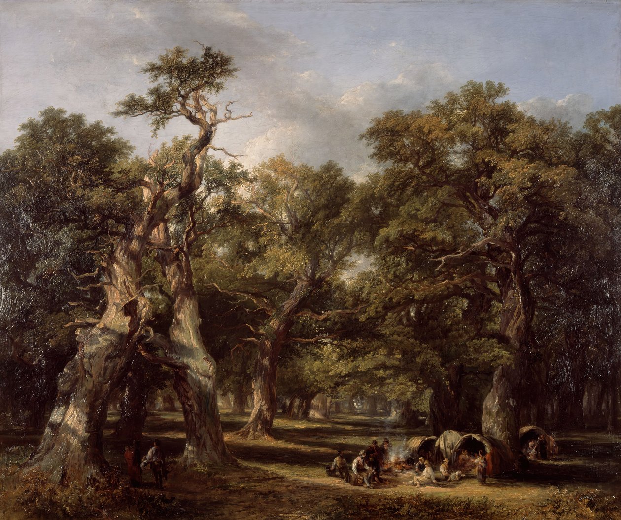 Floresta. de Frederick Henry Henshaw