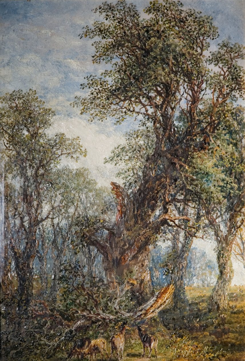 O Ramo Quebrado, 1881. de Frederick Henry Henshaw