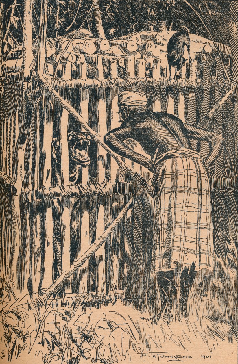 Ilustração para fábulas de Skeats e contos folclóricos de Uma floresta oriental, 1901 de Frederick Henry Townsend
