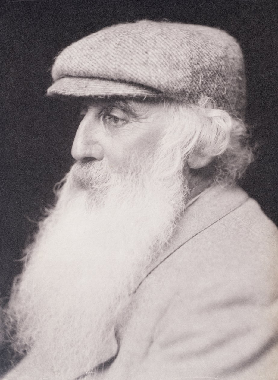 Retrato de Camille Pissarro (1830-1903) de Frederick Hollyer