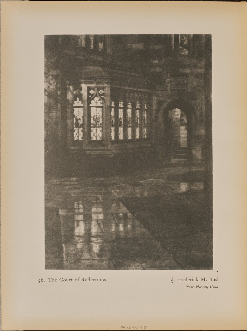 O Tribunal das Reflexões de Frederick M. Bush