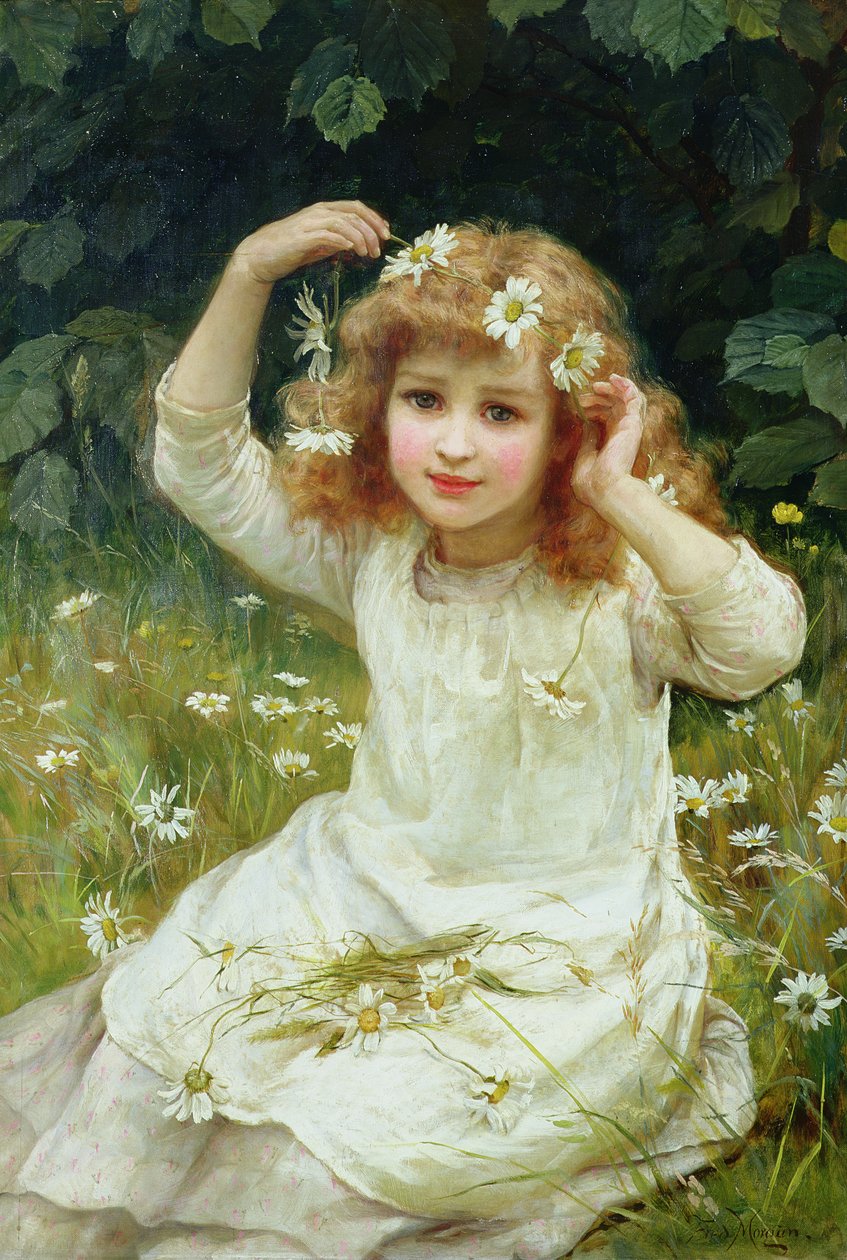Margaridas de Frederick Morgan