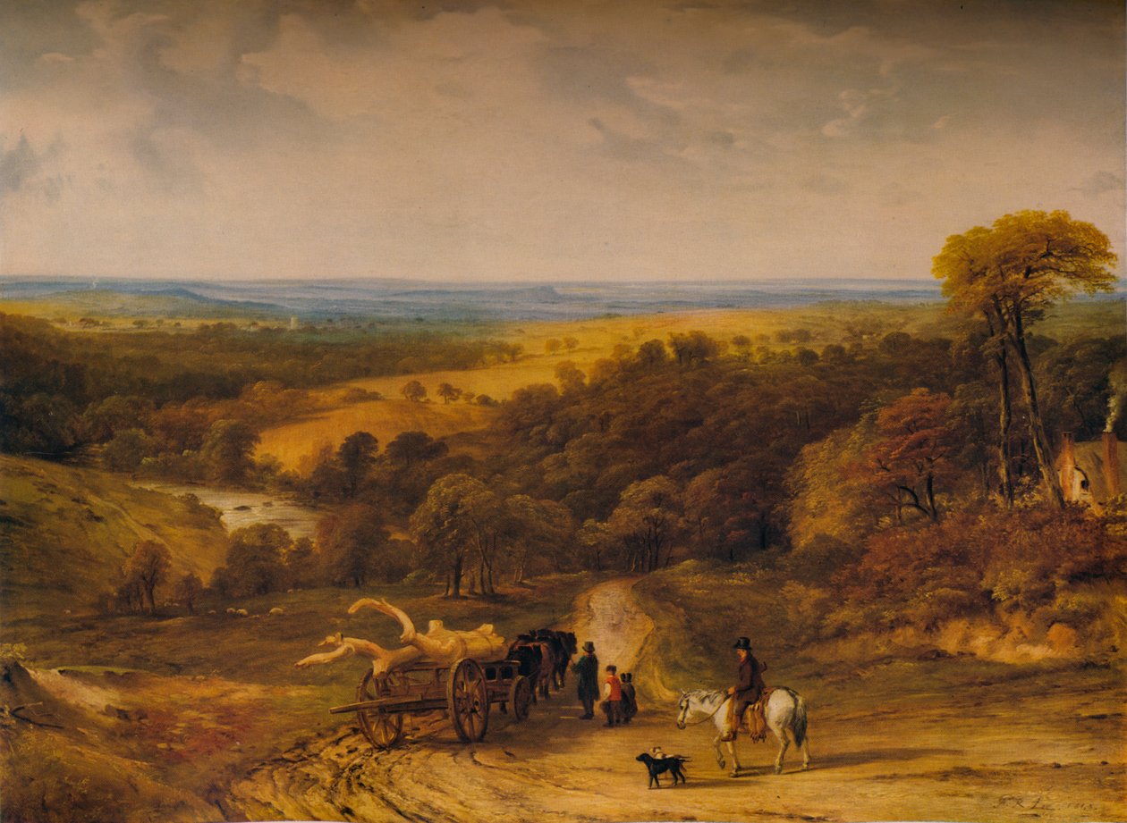 Veja perto de Crediton, Devon, 1843 de Frederick Richard Lee