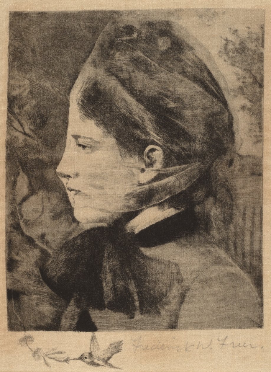 Madressilva de Frederick W. Freer