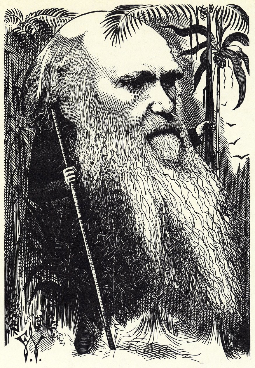 Charles DARWIN de Frederick Waddy