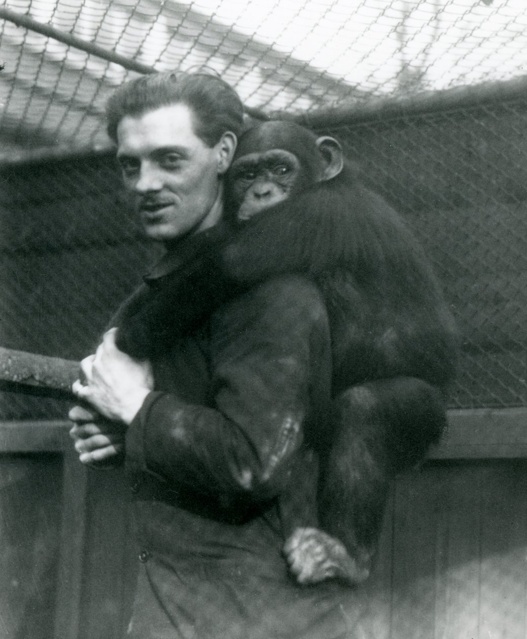 Um homem carrega Chimpanzé Sally de costas, zoológico de Londres, 1924 de Frederick William Bond