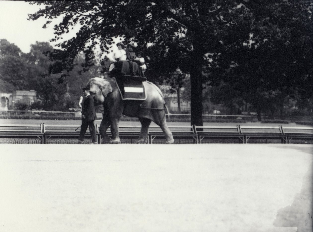 Elefante asiático &39;Jessie&39; dando uma carona para duas senhoras e uma criança, enquanto sendo liderado por um guardião no zoológico de Londres, maio de 1914 de Frederick William Bond