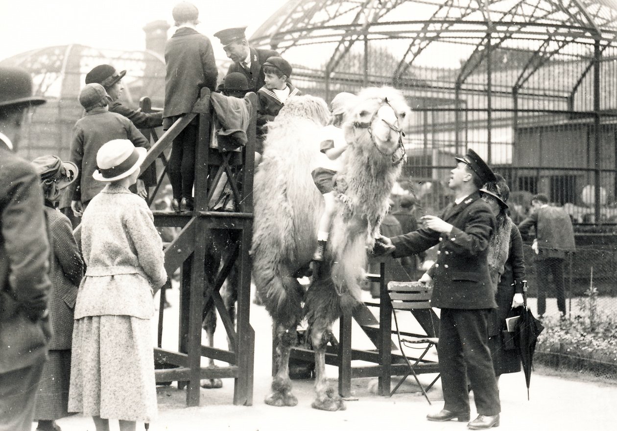 Passeios de camelo com o guardião H. Warwick de Frederick William Bond