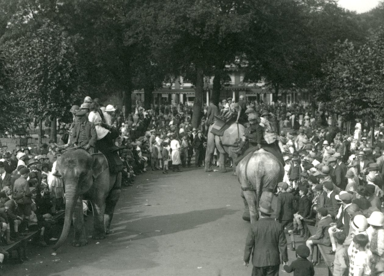 Passeios de Elefante, com três elefantes asiáticos observados por multidões de espectadores no Jardim Zoológico de Londres em agosto de 1926 (foto a p/b) de Frederick William Bond