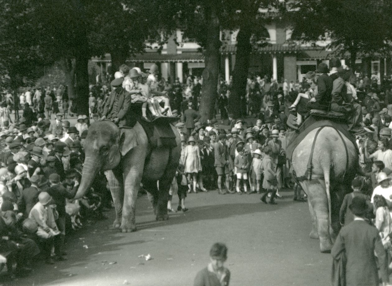 Passeios de Elefante, com dois elefantes asiáticos observados por multidões de espectadores no Jardim Zoológico de Londres em agosto de 1926 (foto a p/b) de Frederick William Bond