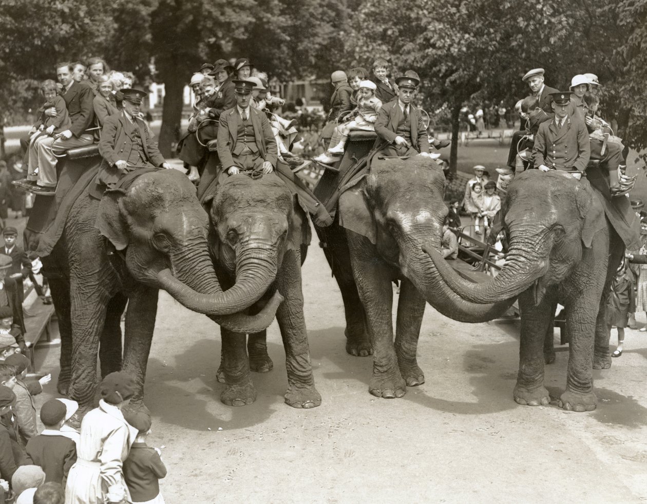 Passeios de elefante no zoológico de Londres, julho de 1936 de Frederick William Bond