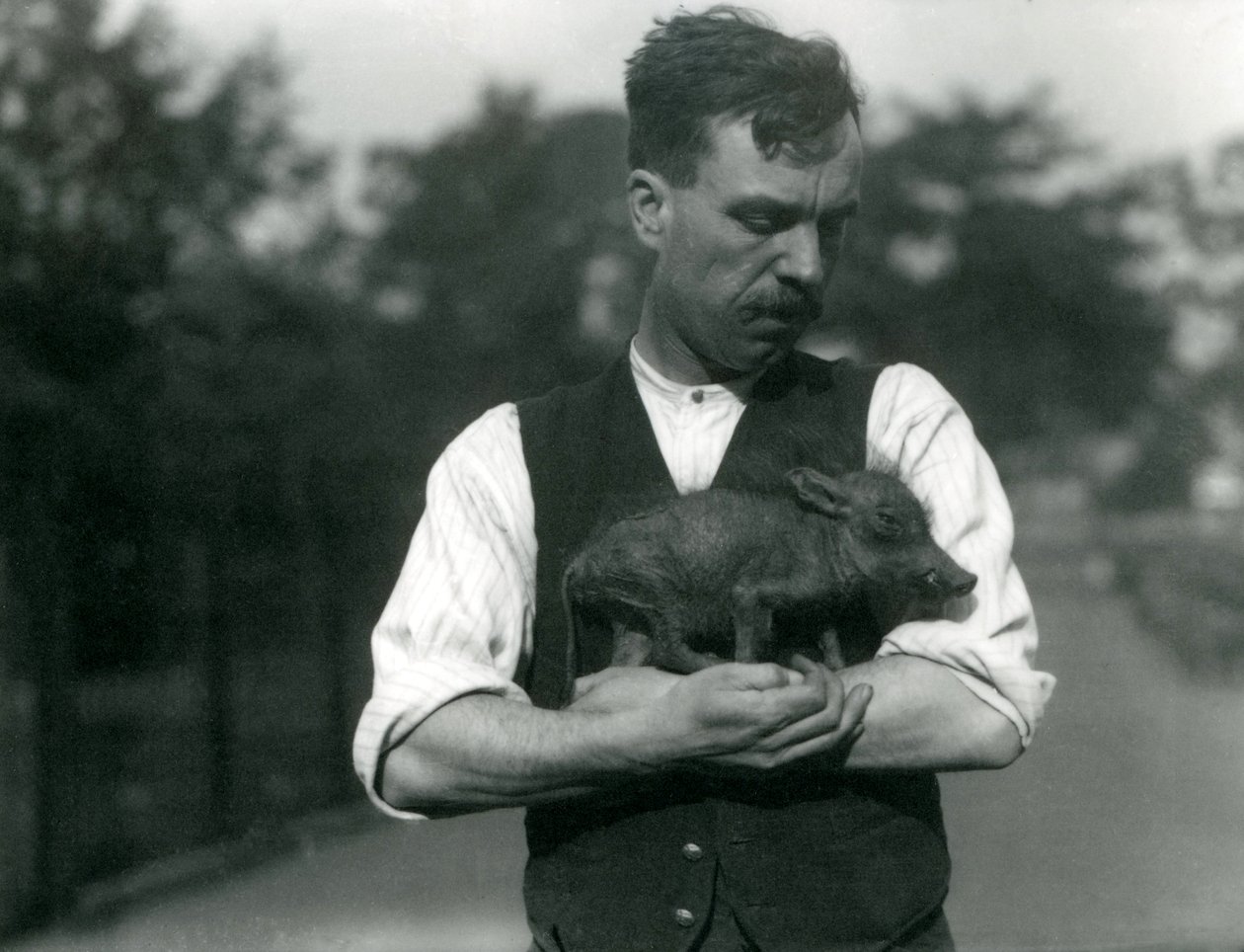 O goleiro Harry Warwick embala um filhote de Warthog em seus braços no zoológico de Londres, em agosto de 1922 de Frederick William Bond
