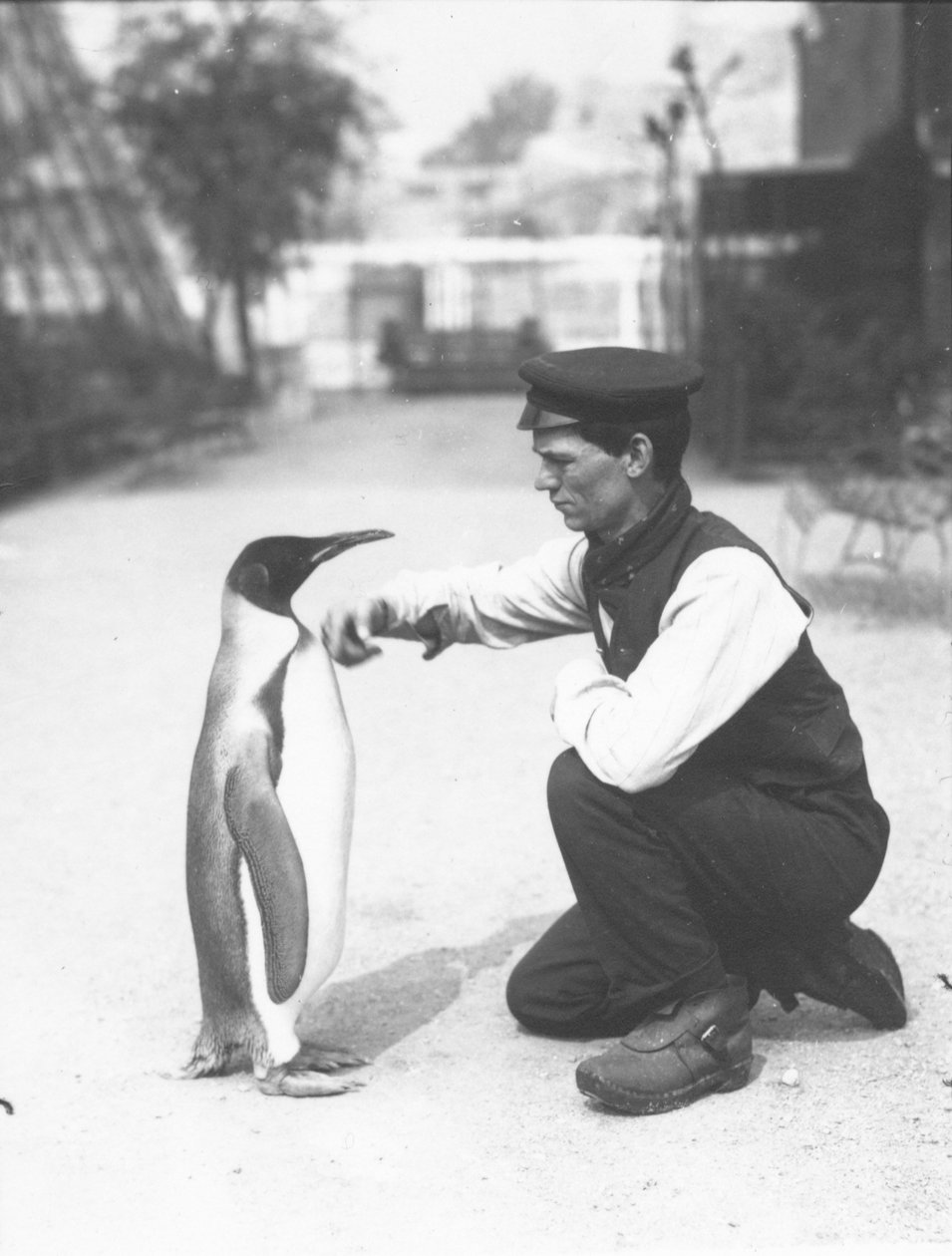 King Penguin, com o goleiro Harry Munro, 1914 de Frederick William Bond